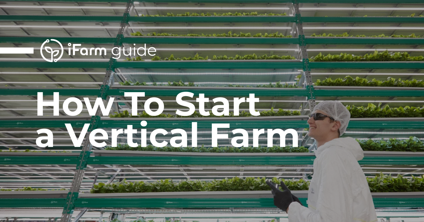 iFarm Guide: How to Start a Vertical Farm