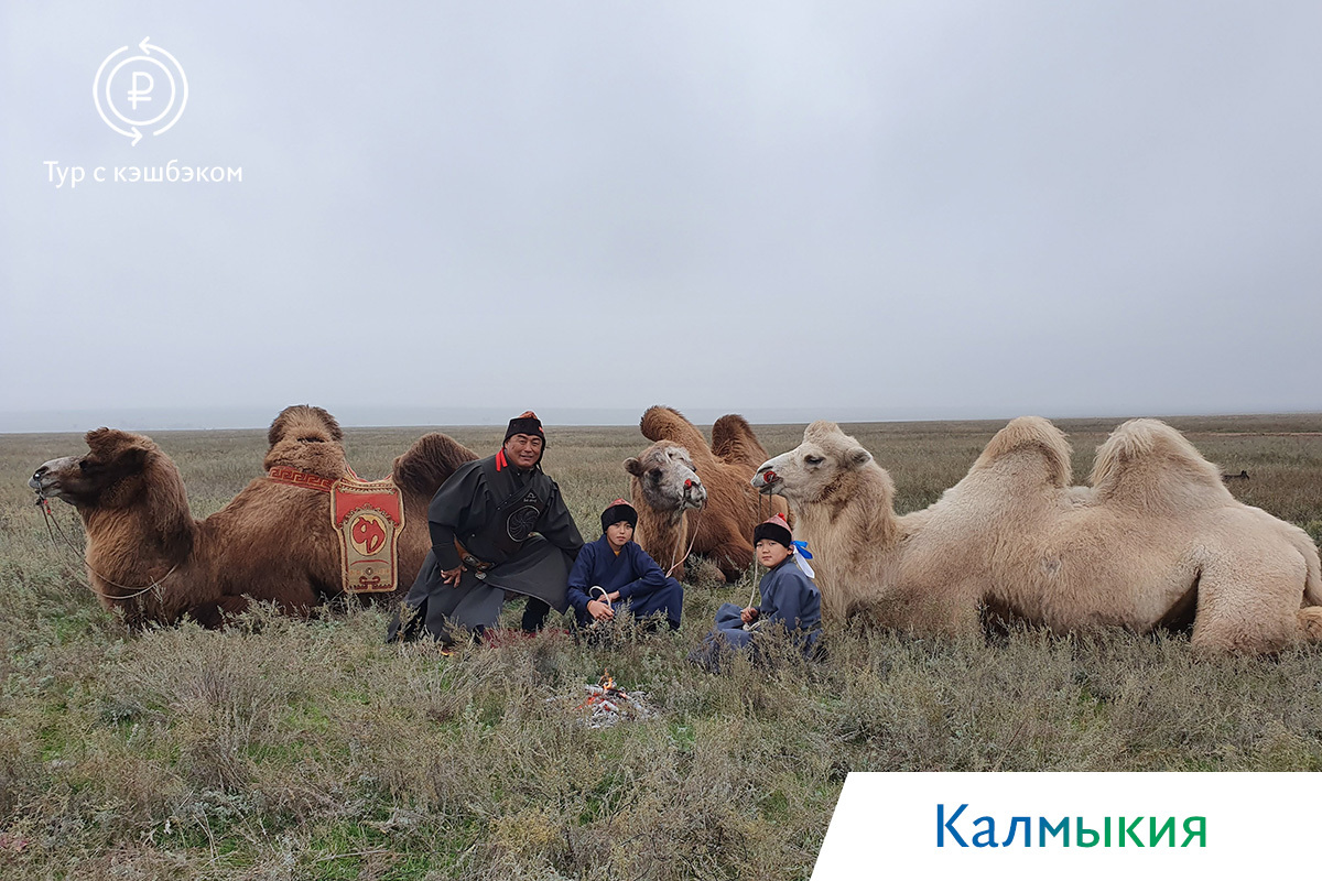 кочевники калмыкии