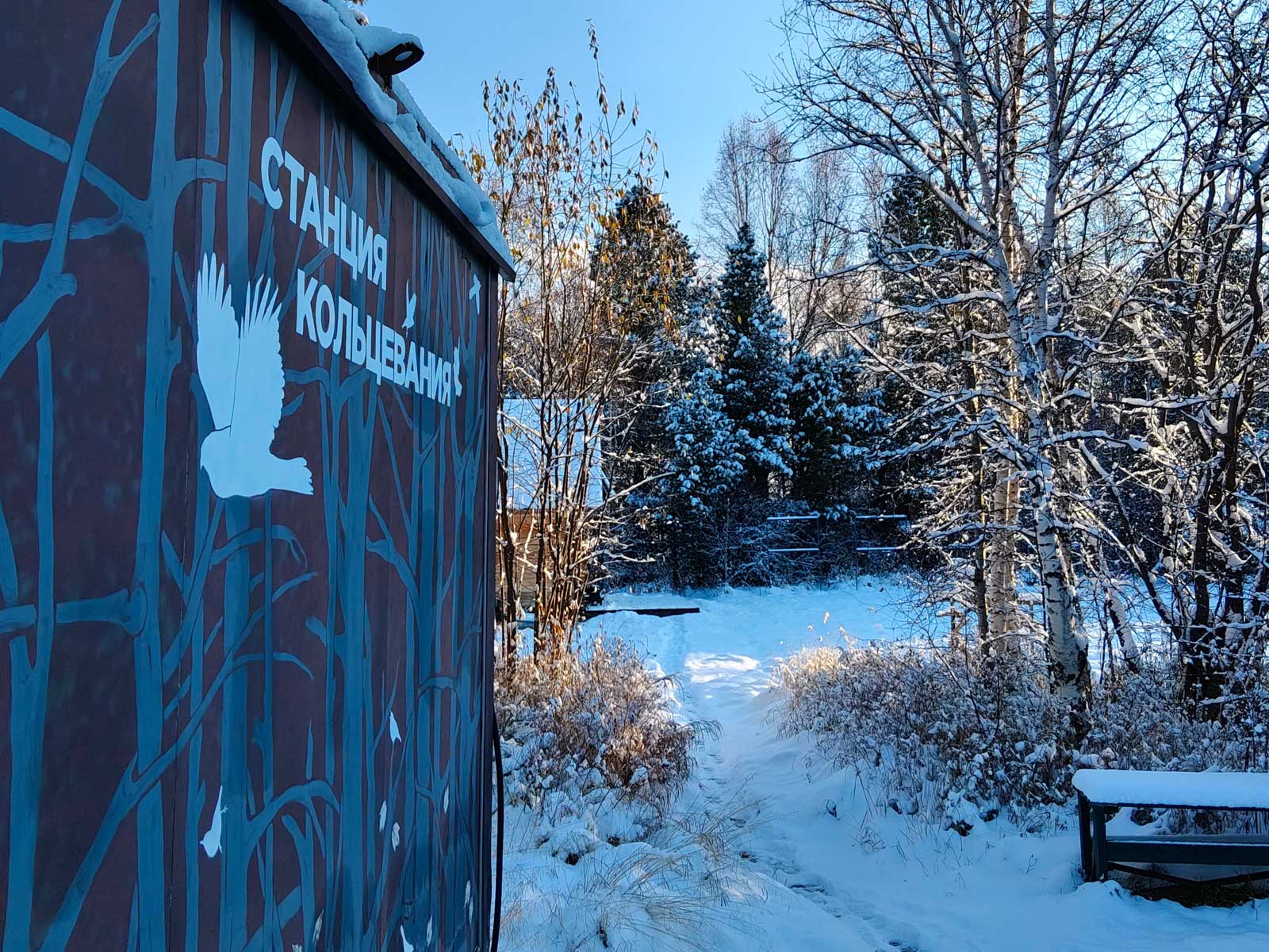 Станция кольцевания птиц Байкальская