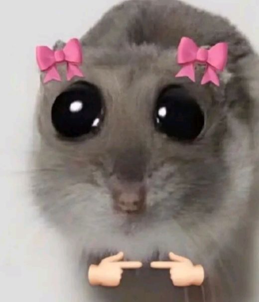 Изображение пина-истории