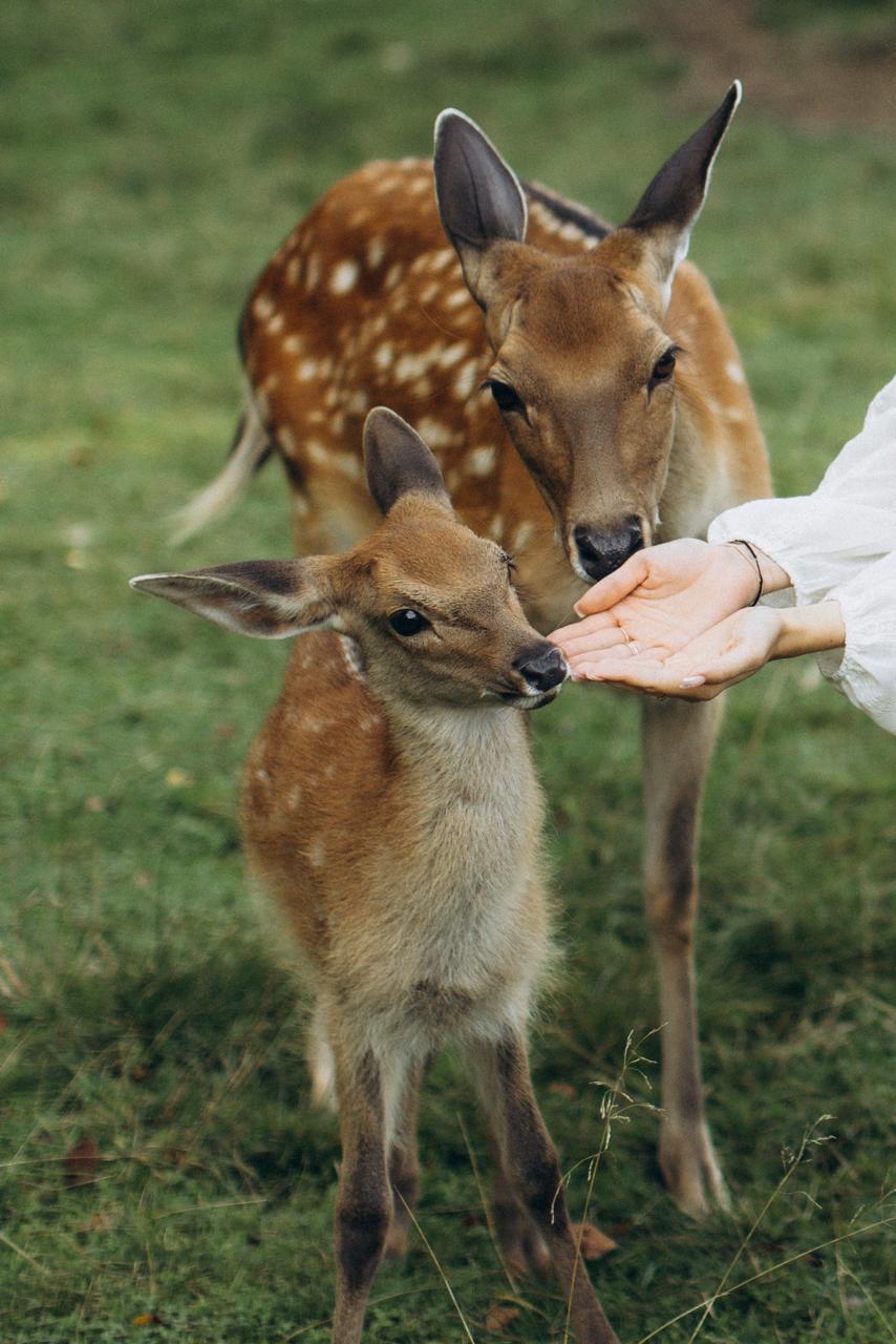 Веретьево, арт-усадьба