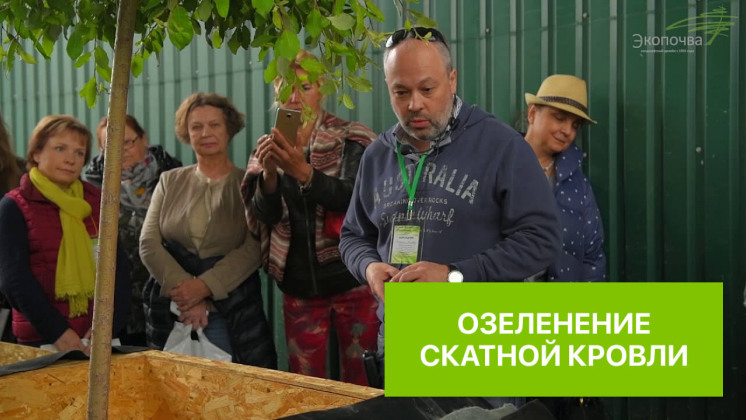 Видео "Озеленение скатной кровли"