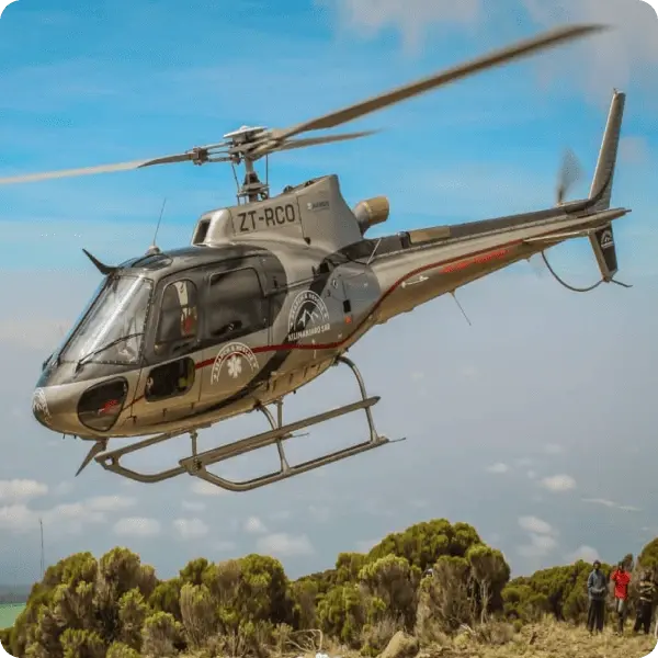 Тур в ЮАР - Южно-африканские пингвины