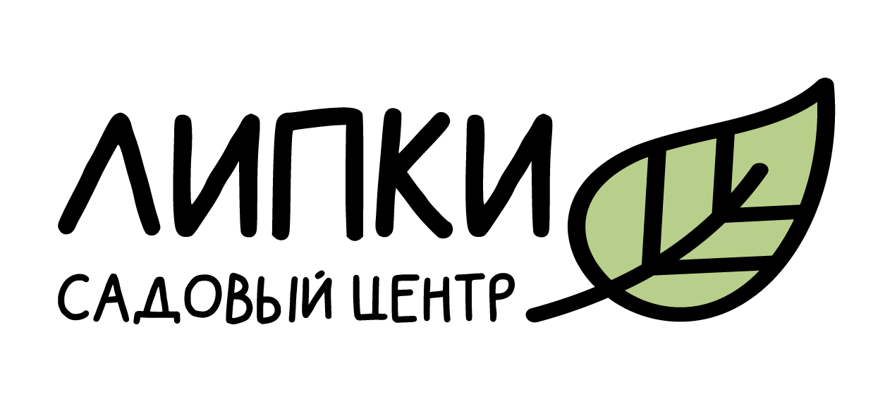 Липки