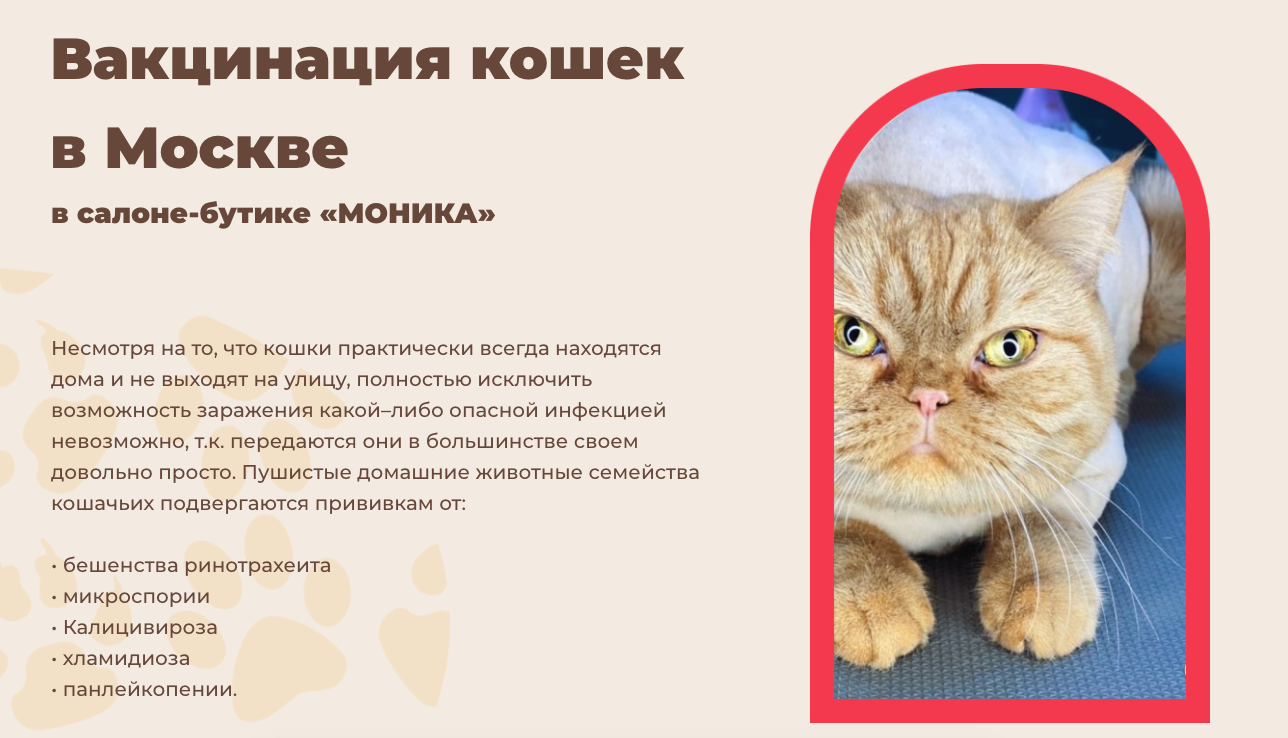 Вакцинация кошек в Москве