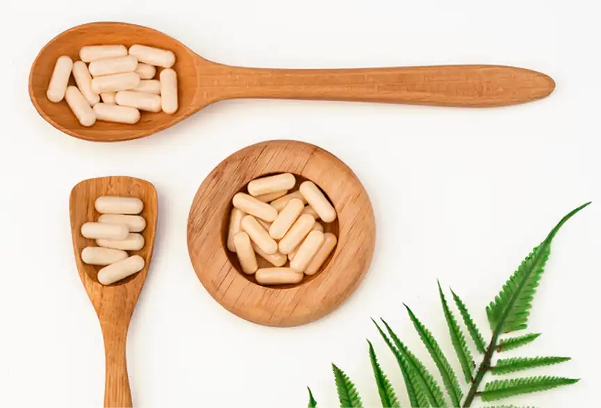 Probiotics in Europe 2025–2035