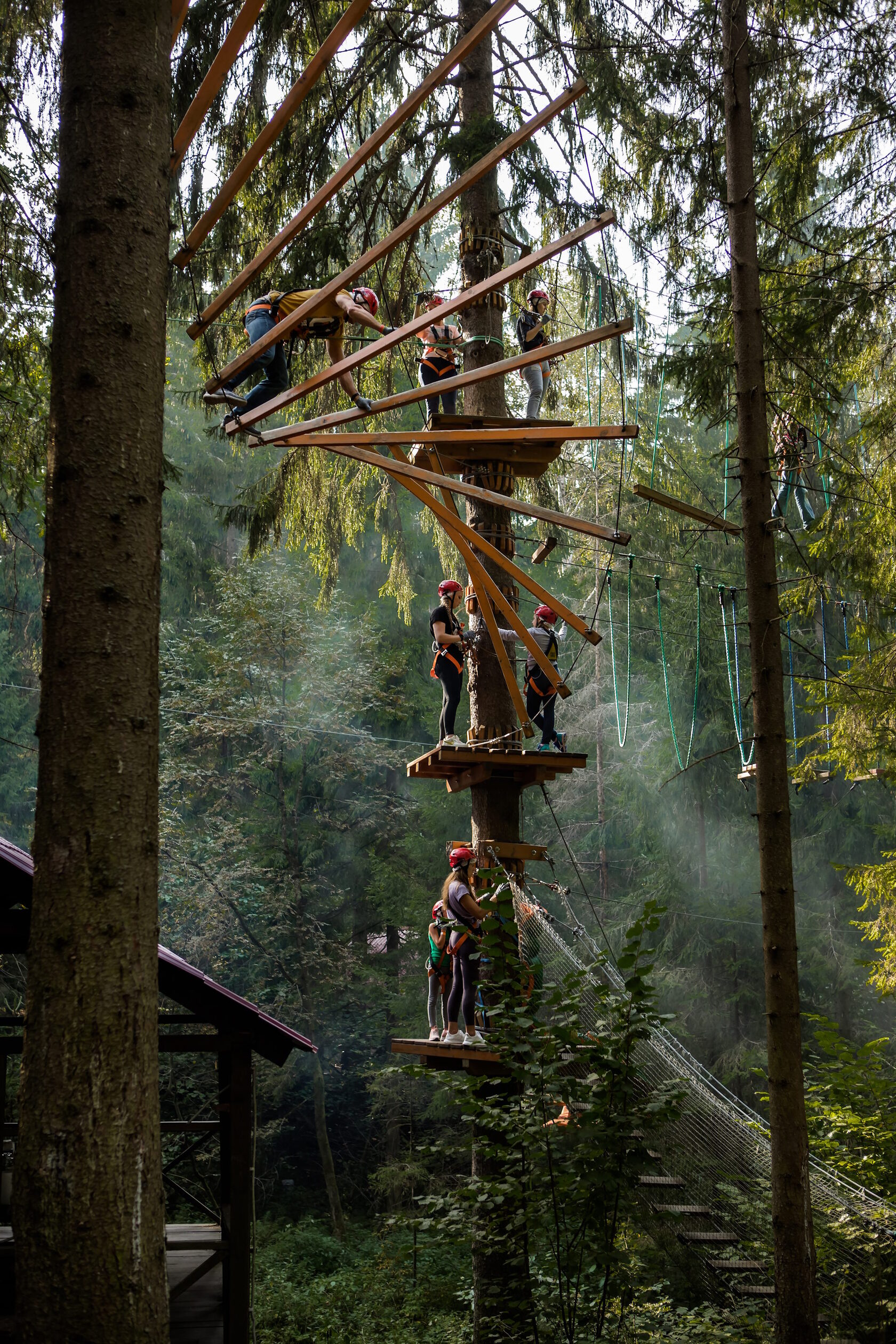 как организовать управление веревочным парком