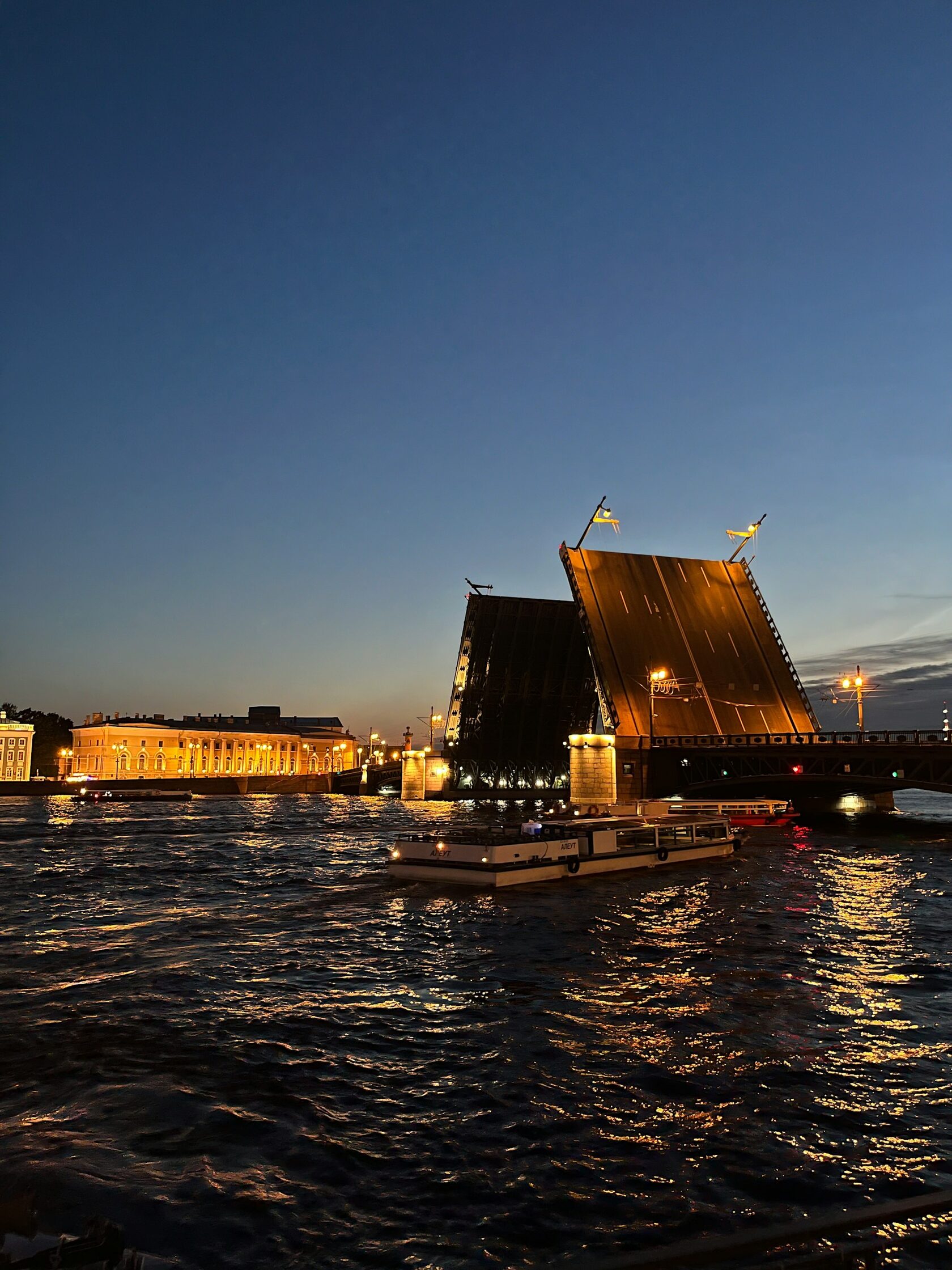 Дворцовый мост, Россия, Санкт-Петербург, Центральный район