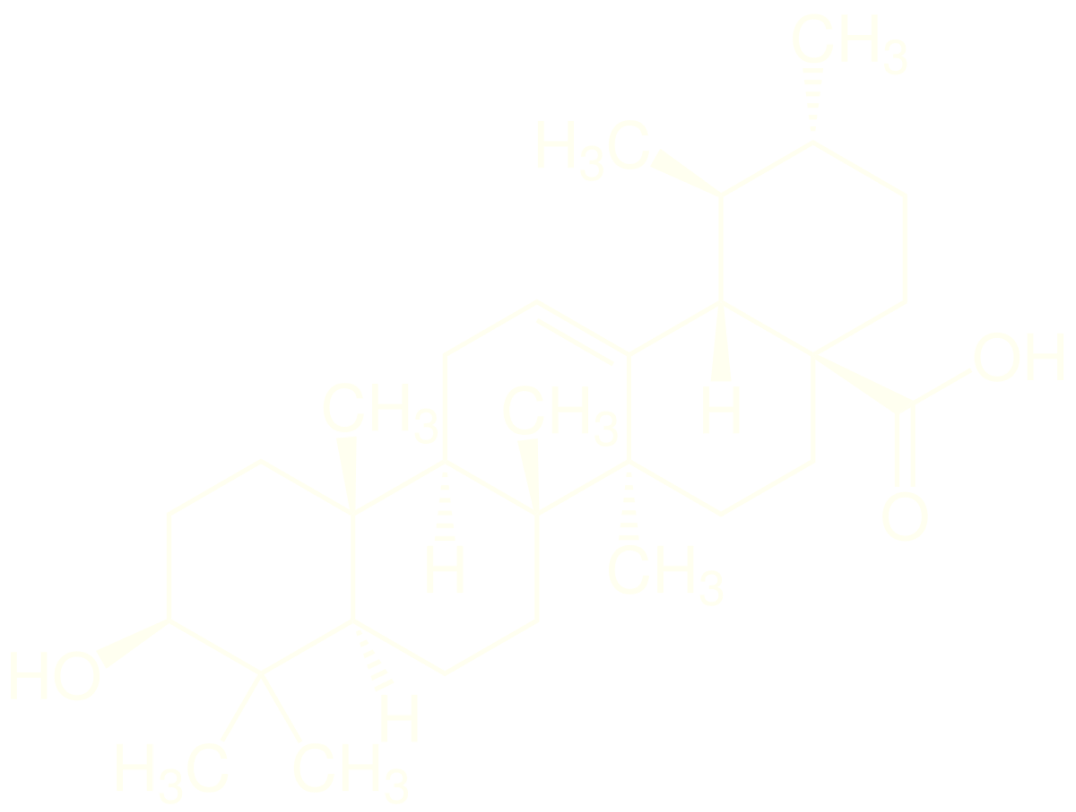 Молекула бетулина
