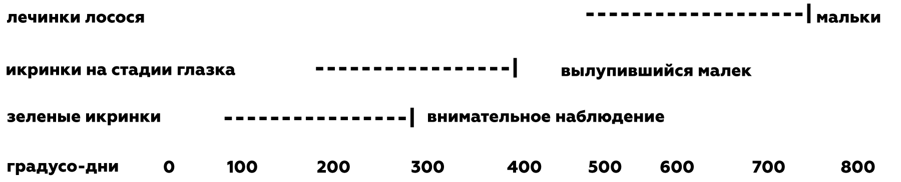 стадии развития лосося узв аквакультура