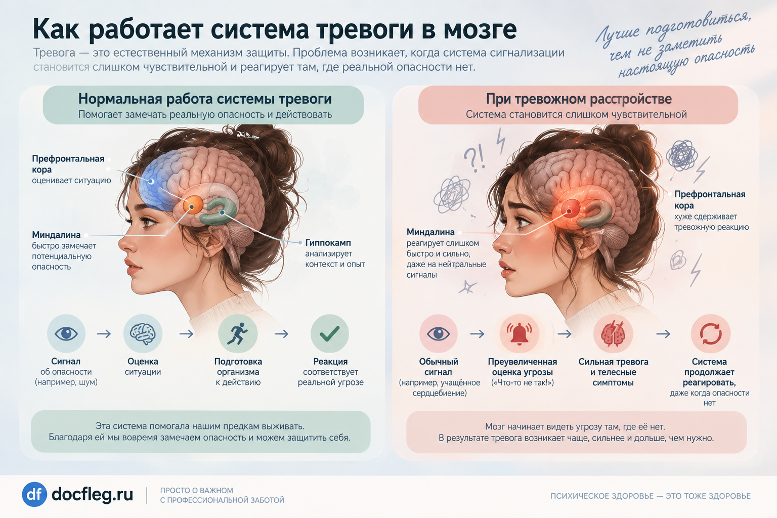 Как работает система тревоги в мозге при нормальной реакции и тревожном расстройстве
