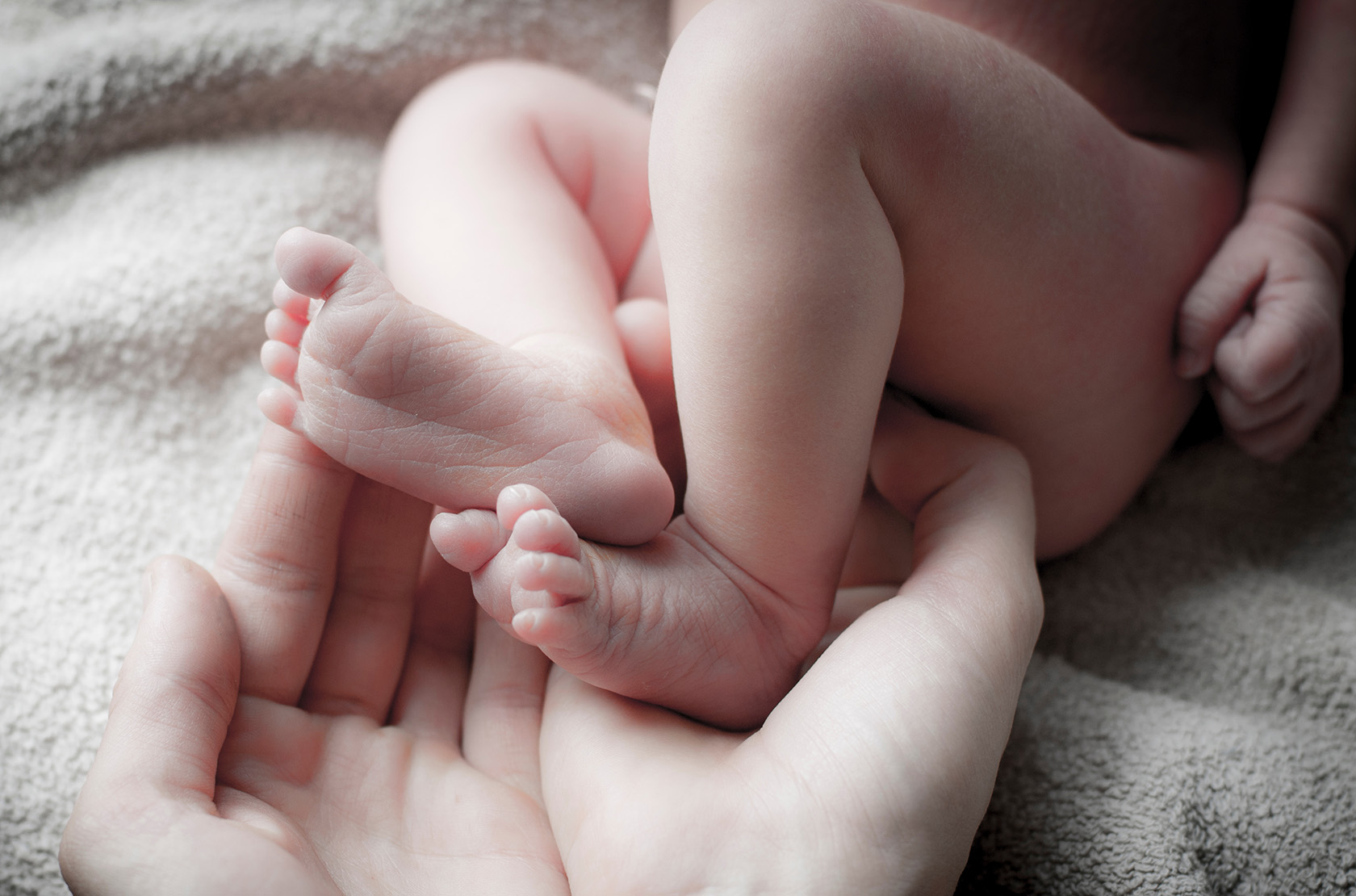 Малыш в утробе: изображения без лицензионных платежей
