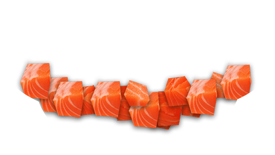 fish_1