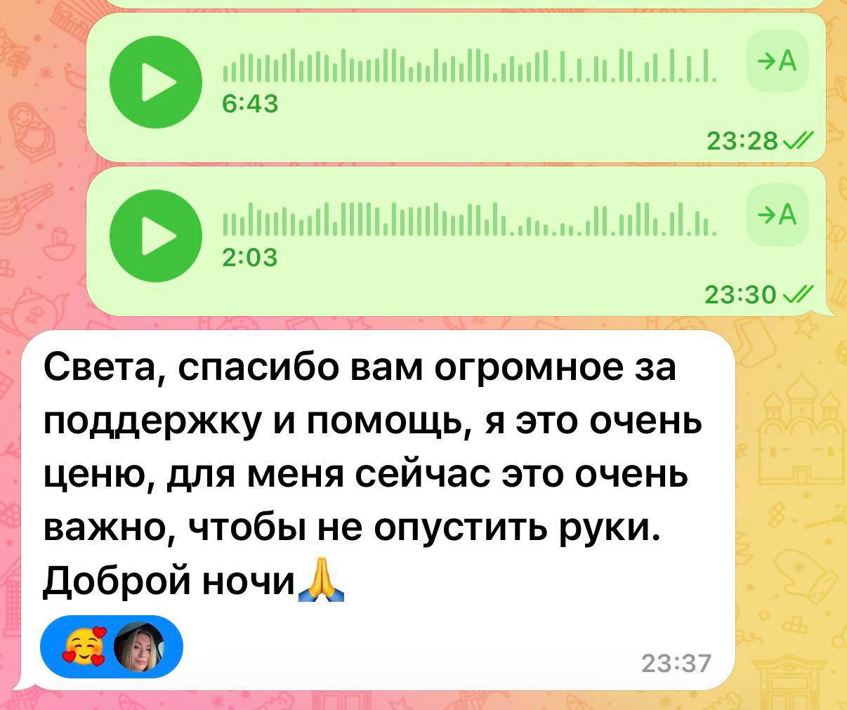 Отзыв участника Альтер Эго