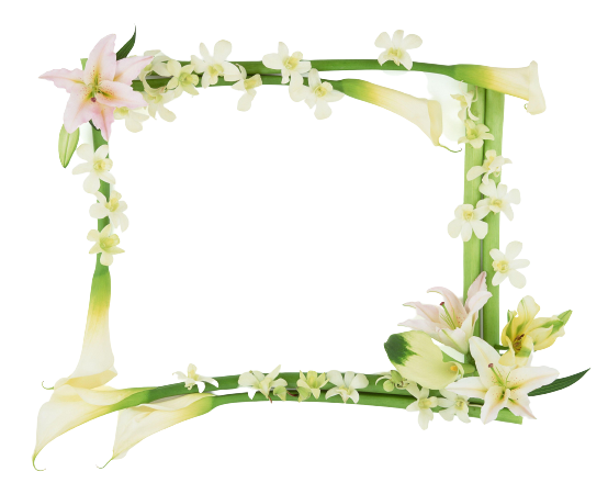 Контакты салона цветов "Кактус" в городе Красный Сулин. Адрес + телефон + Instagram + VK + Одноклассники