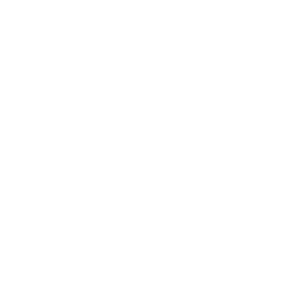 website icon