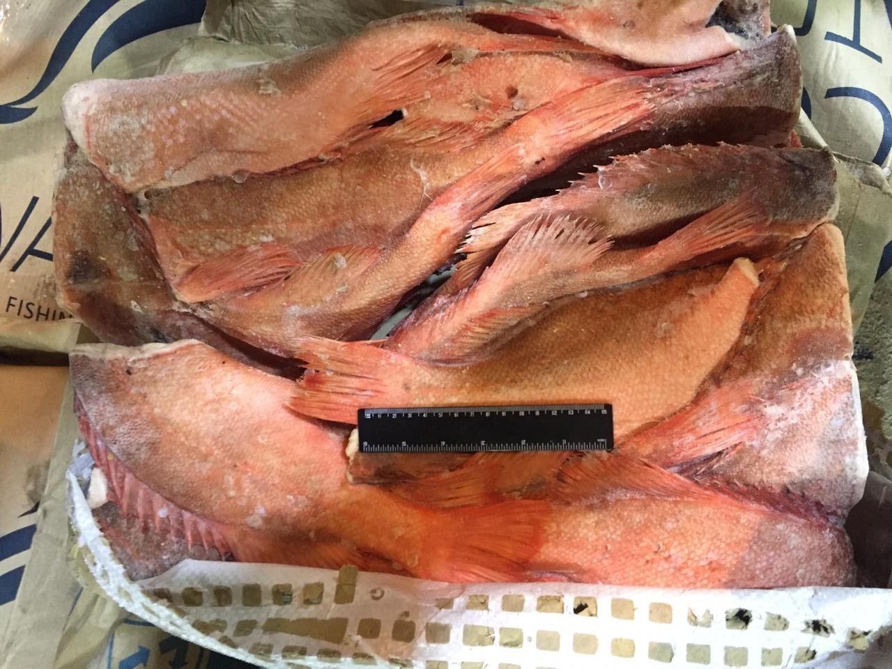 окунь свежемороженый 300-500