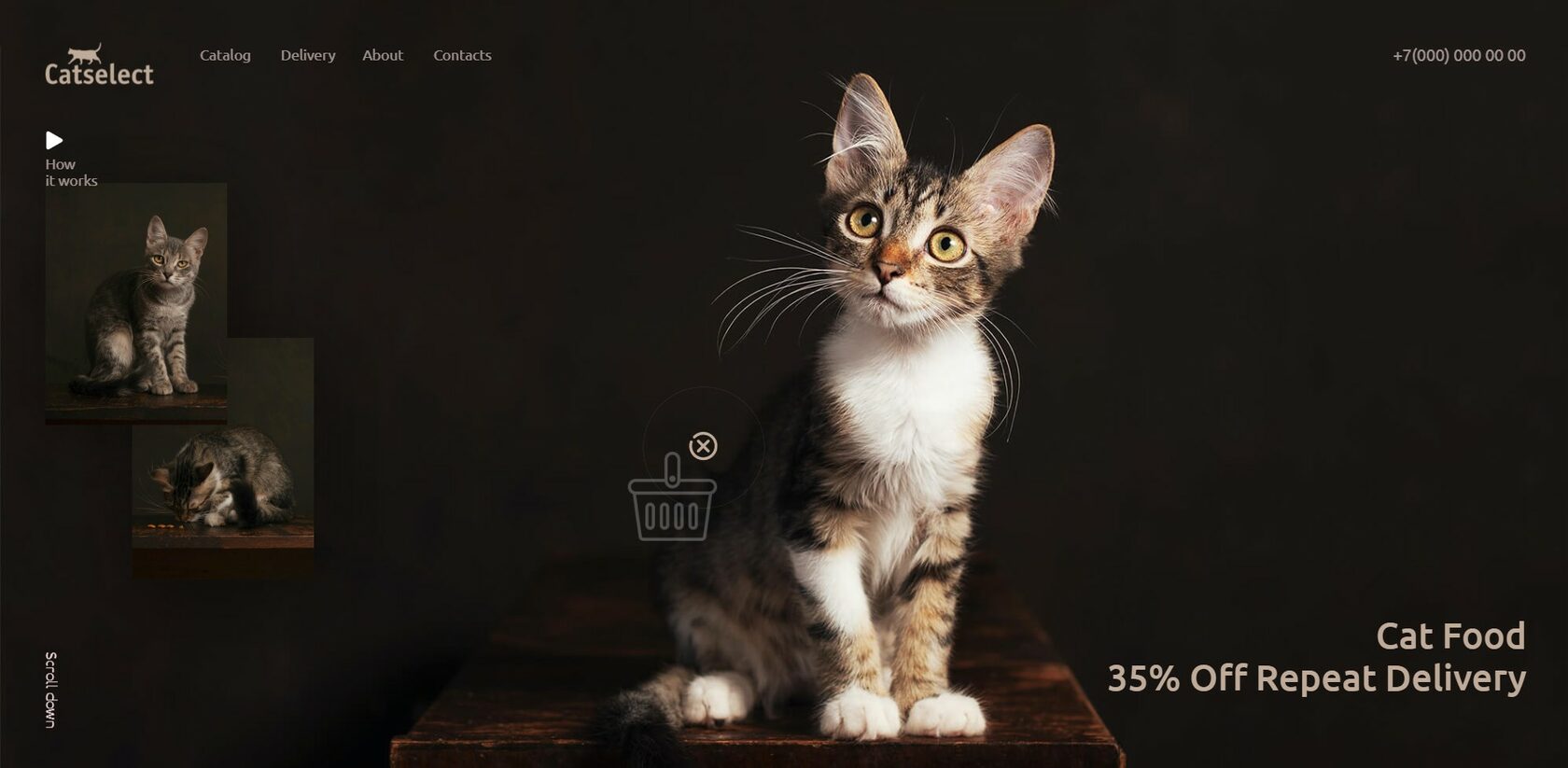 ушастый кот порода с фото