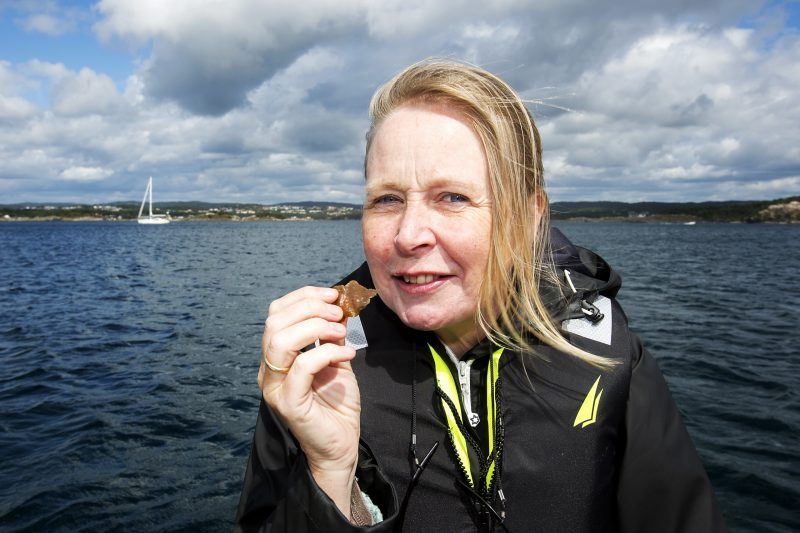 SINTEF and NIVA researchers visited Norway Seaweed pilot farming facilities