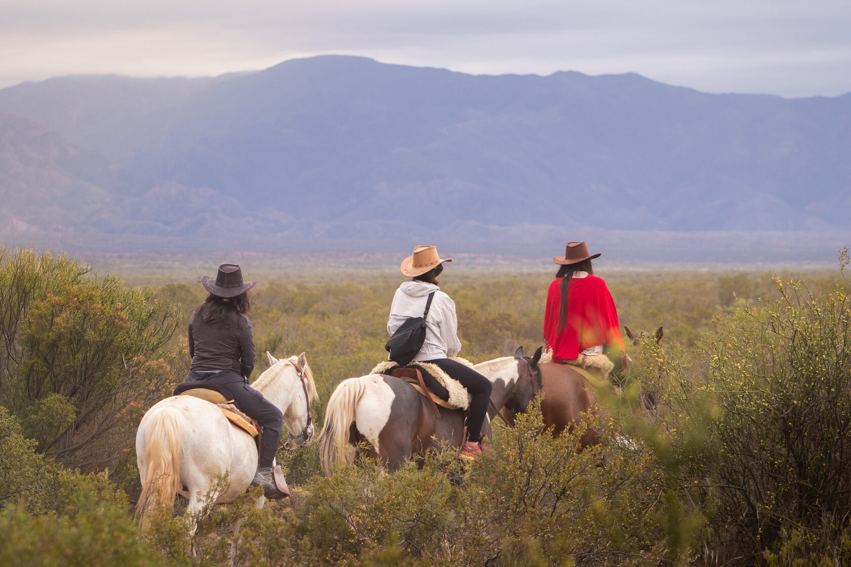 Horseback riding through the vineyards