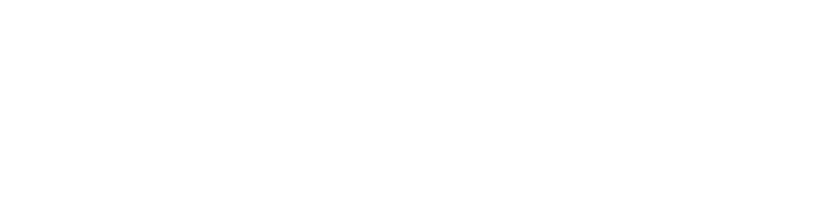 INSIZE