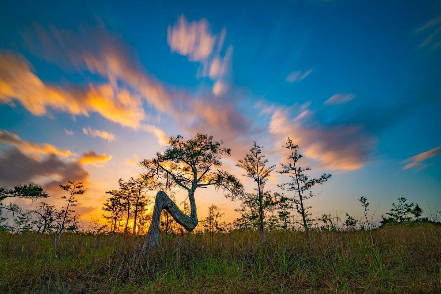 Everglades National Park