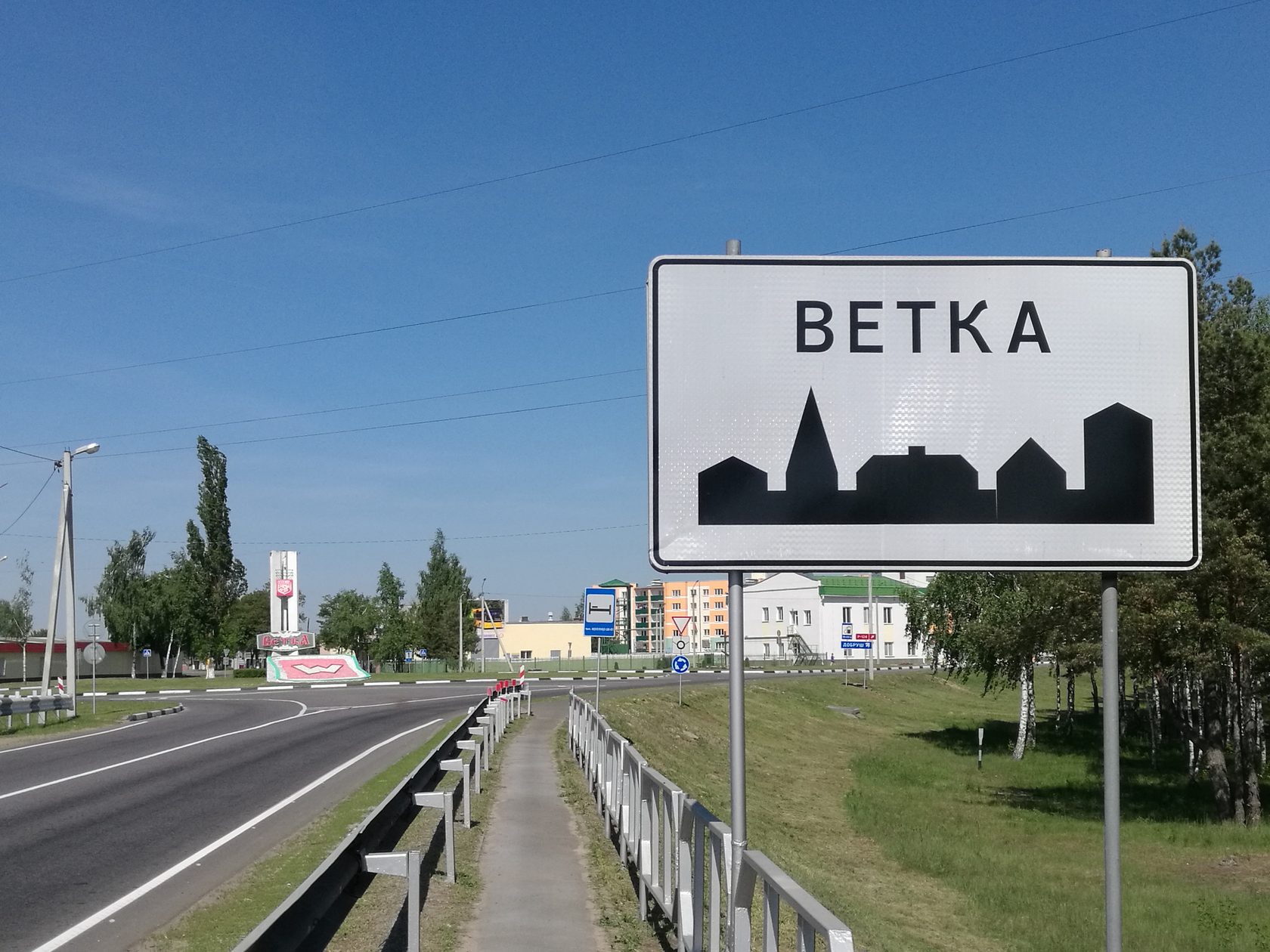 Гомель ветка фото