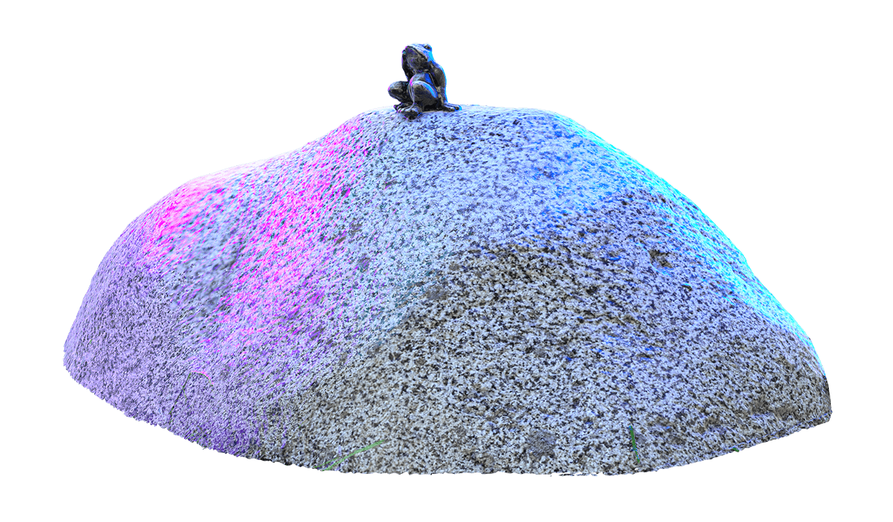 Памятник лягушке-путешественнице, Томская область, Томск