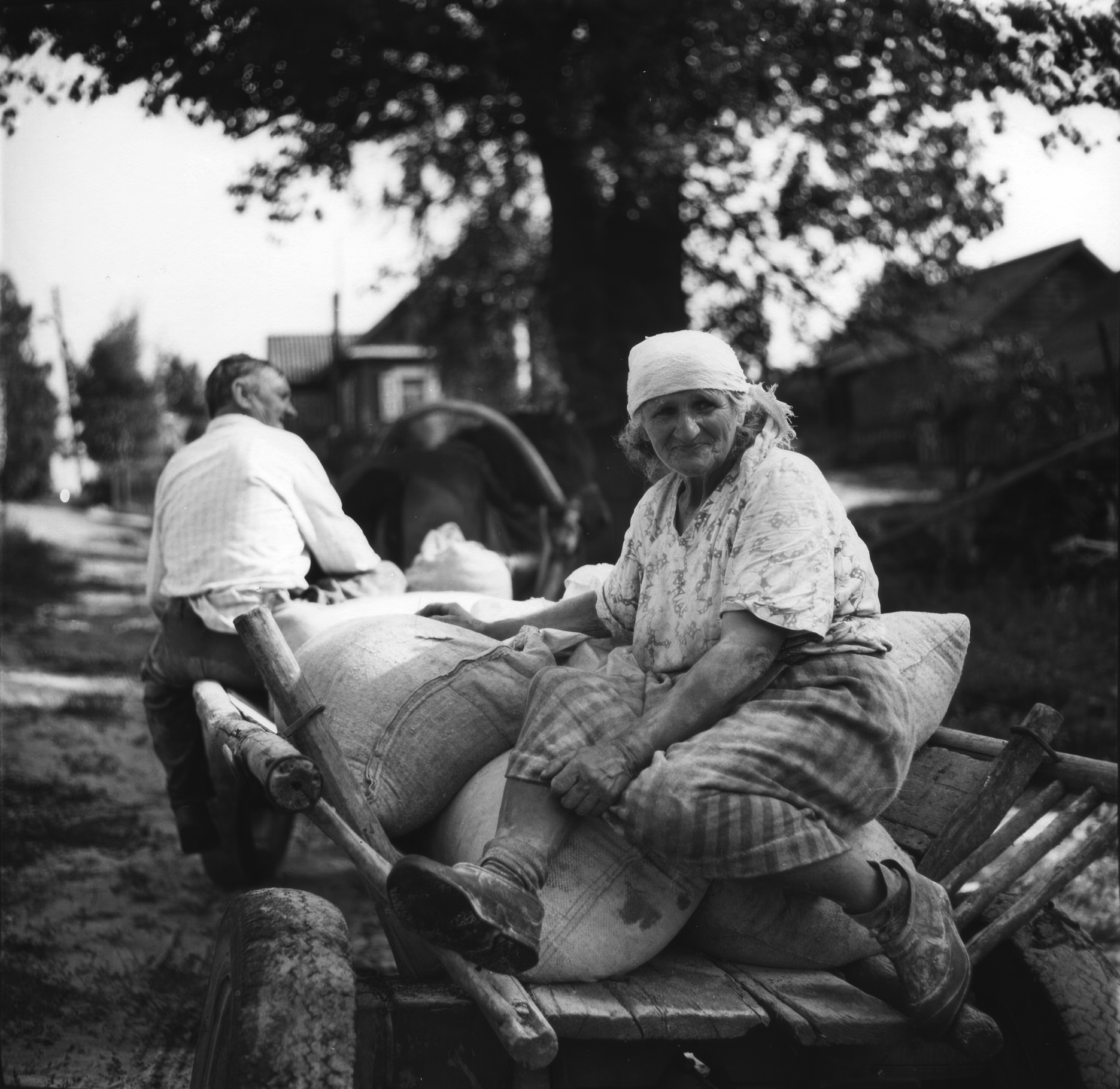 Альберт Цеханович: Кола часу.