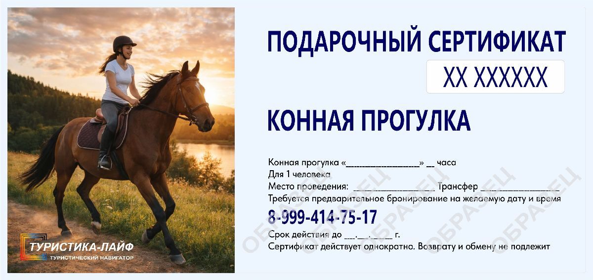 Подарочный сертификат на конную прогулку. Туристика-лайф