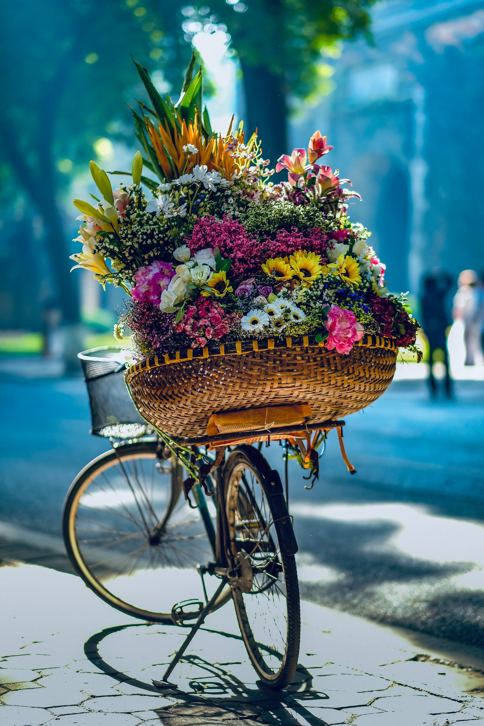 Цветы на велосипеде фото. Forumsmile net открытки