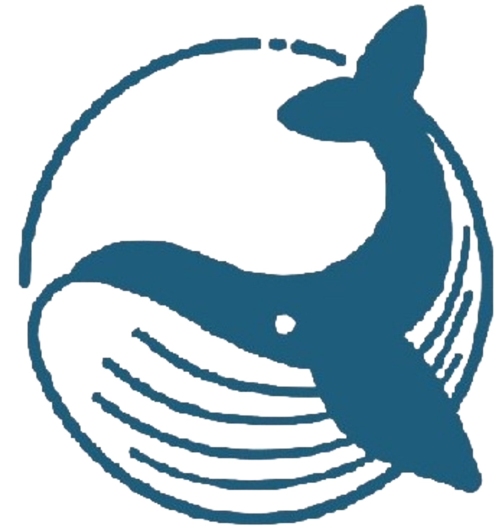 АНО ДПО "ЦПП "КИТ"