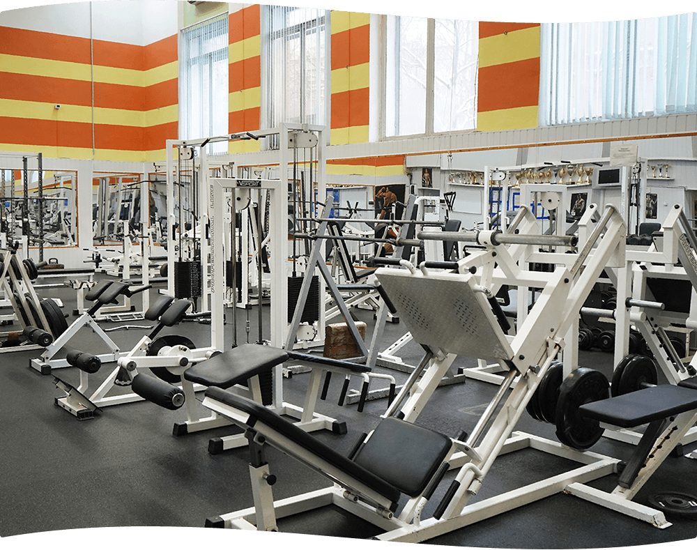 Свободное посещение тренажерного зала