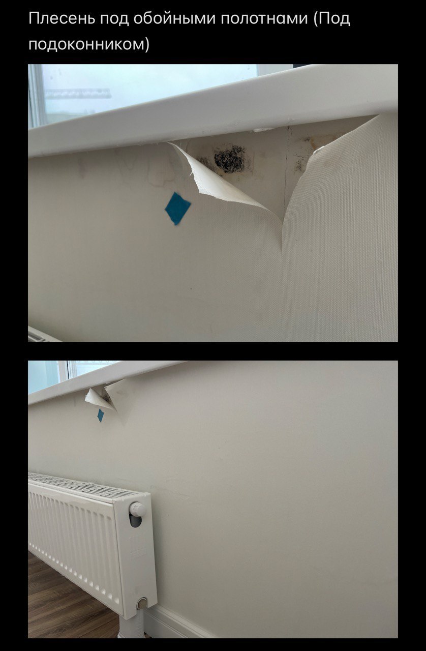 Фото с приёмки ЖК «Скандинавия» 2