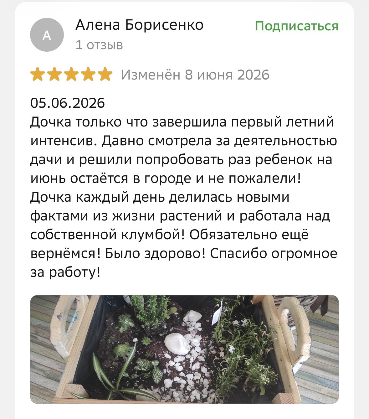Скриншот отзыва Алёны Борисенко