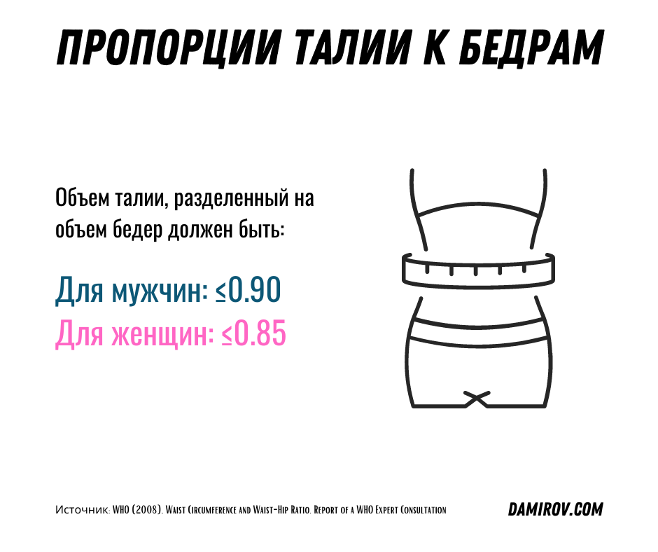 Отношение талии к бедрам. Соотношение талии и бёдер. Соотношение объема талии и бедер. Соотношение талии и бедер у женщин норма. Соотношение талии и бёдер у мужчин.