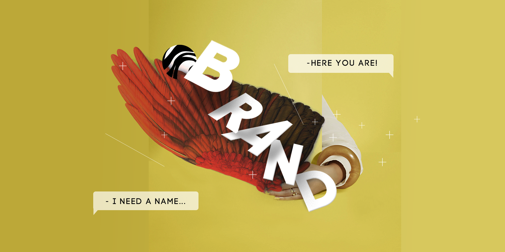 Hi! My name is How to choose a name for your brand