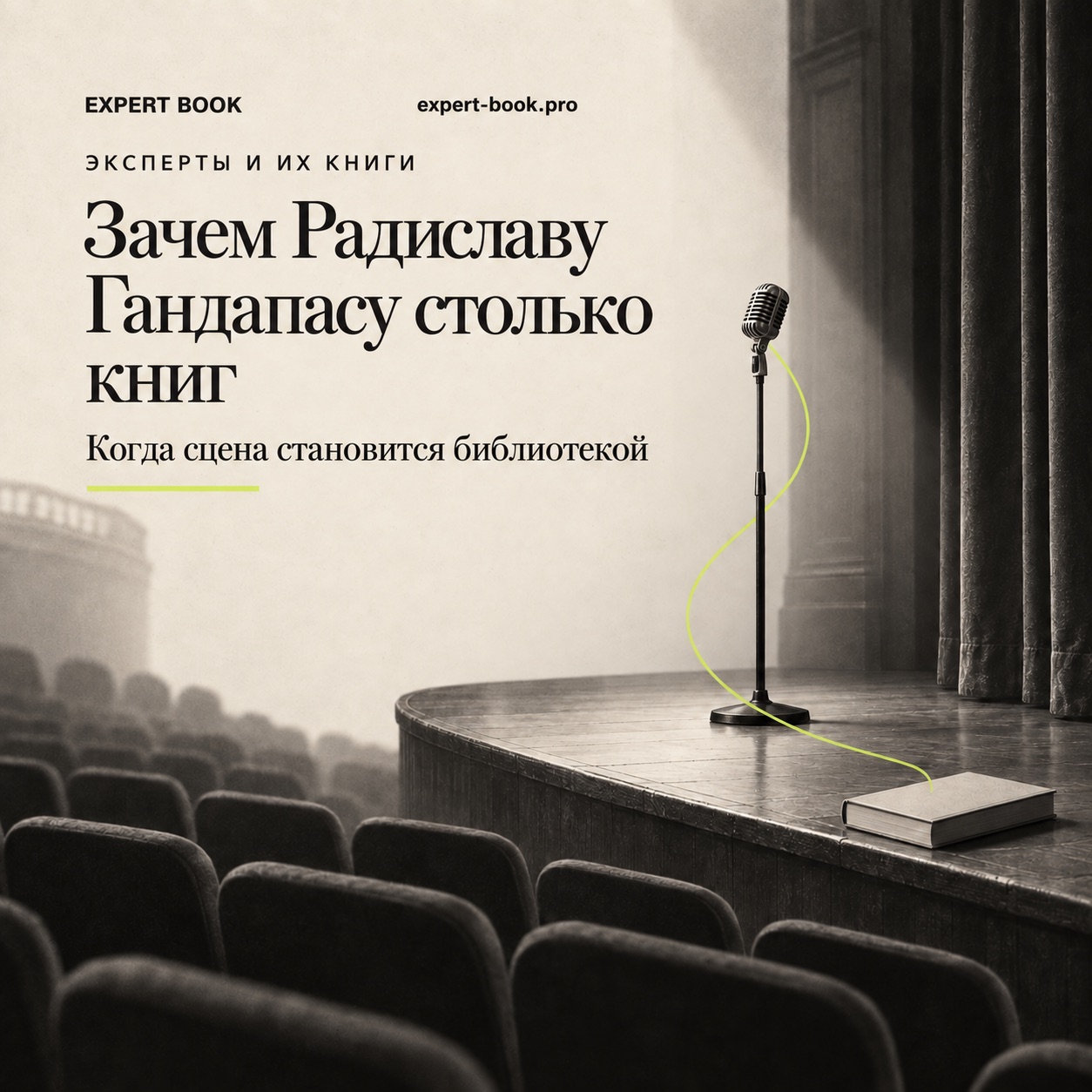 Редакционная обложка разбора книг Радислава Гандапаса