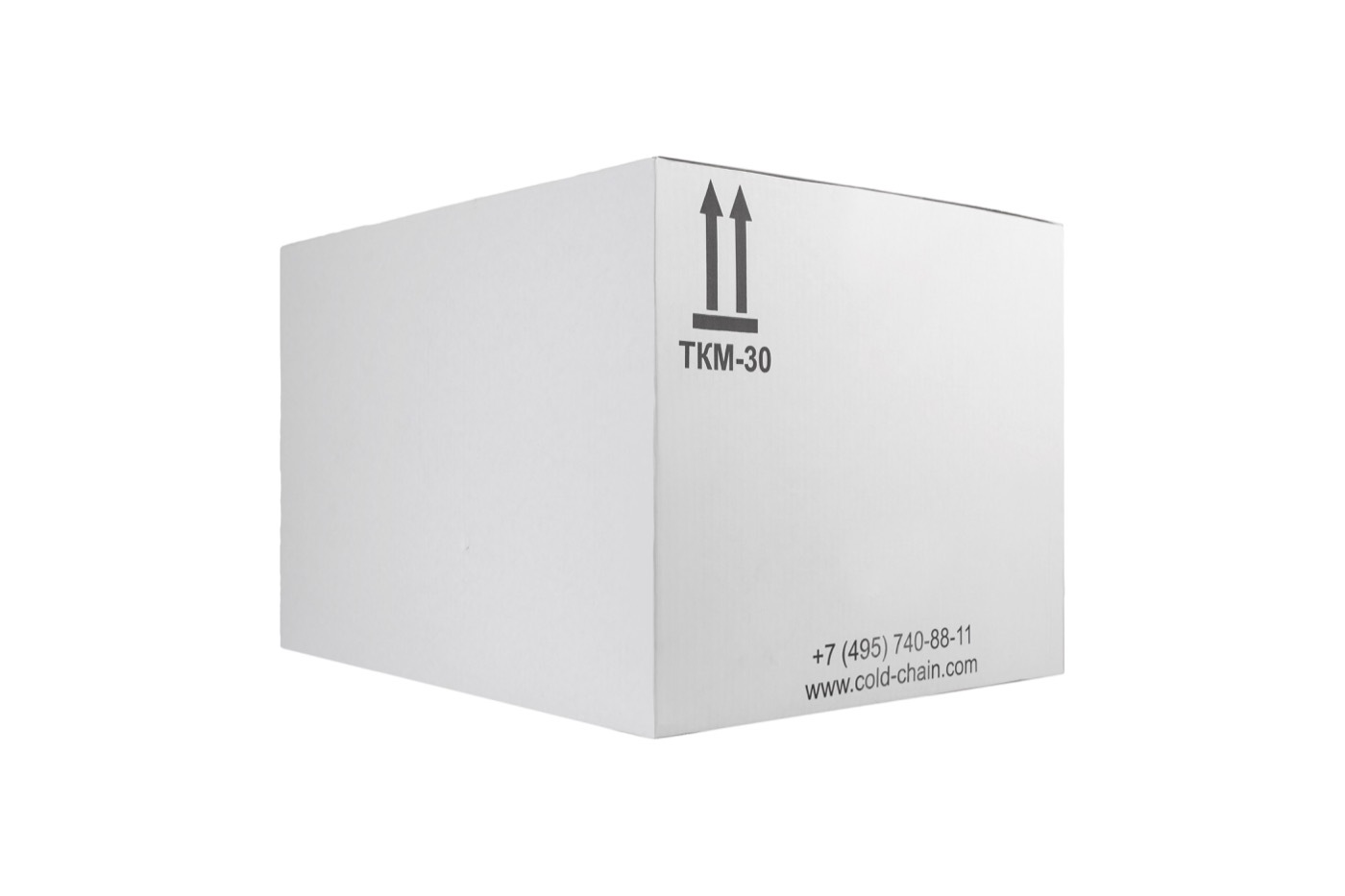 Medical thermal containers, cold elements, heat indicators