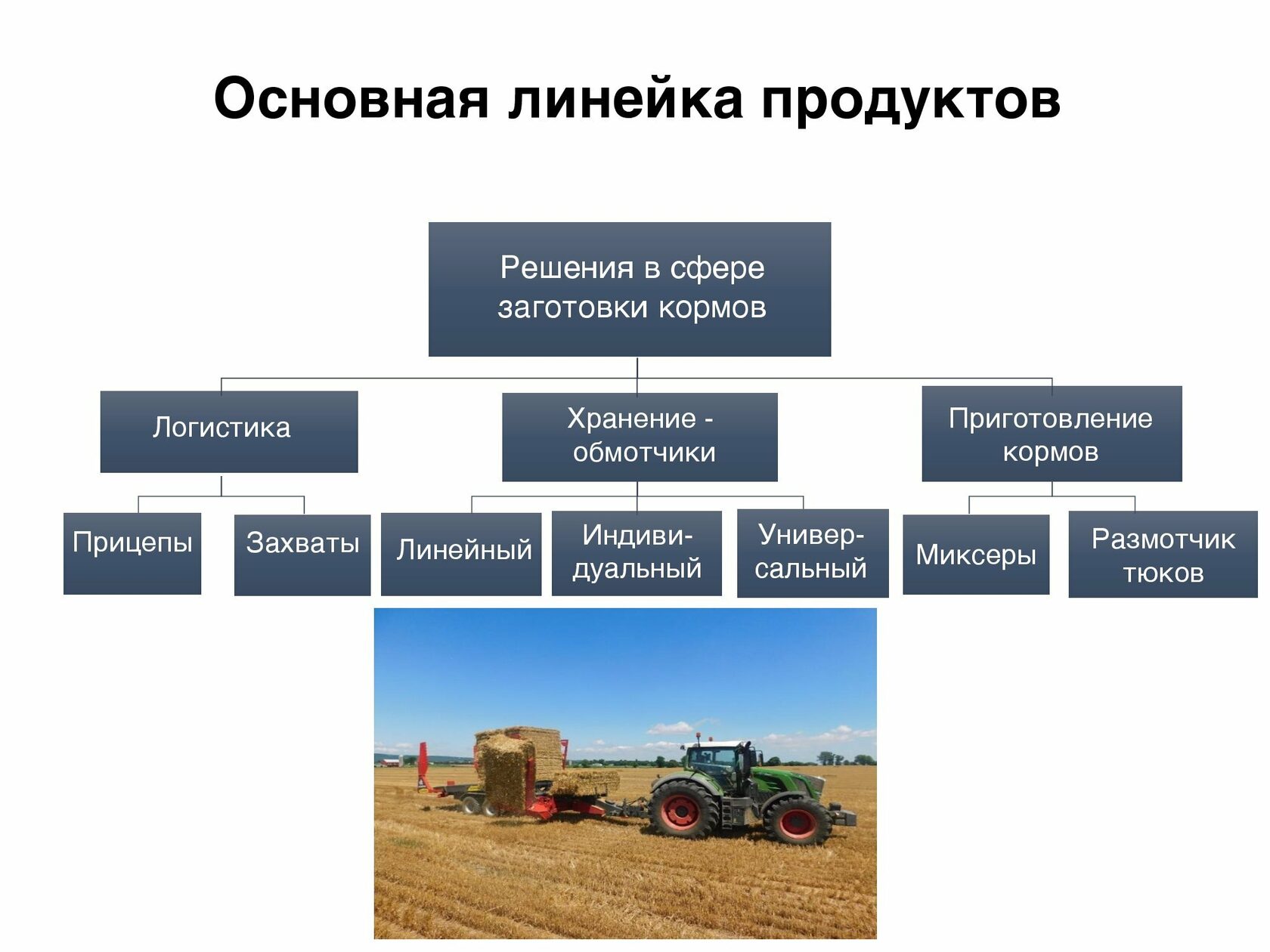 Какие отрасли включают. Управление хозяйством.