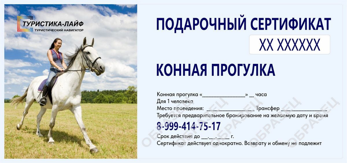 Подарочный сертификат на конную прогулку. Туристика-лайф