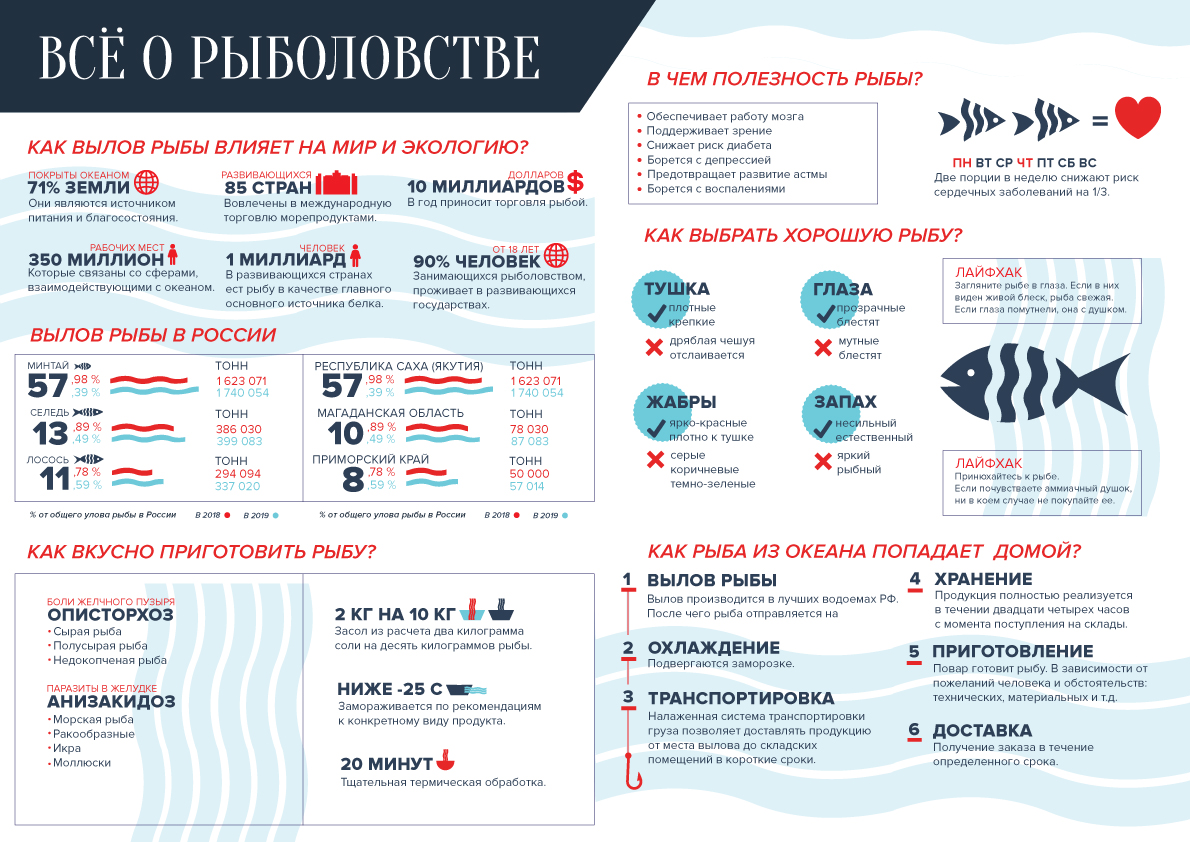 Двфу филиалы. Бюджет ДВФУ. ДВФУ сколько баллов на бюджет. Великая стена ДВФУ зал.