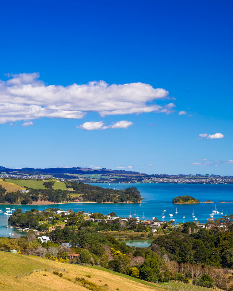 A field and the coast of Waiheke Island. Sailboats float in the water near this Auckland island.