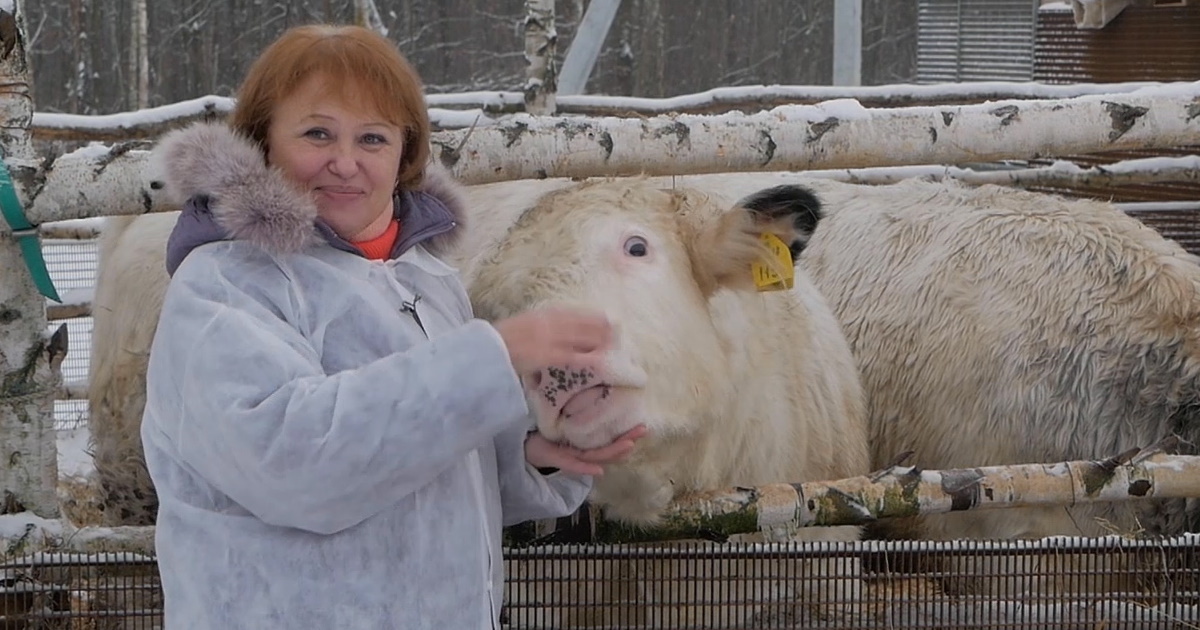 Пробиотик Олин для роста надоев, привесов и яйценоскости