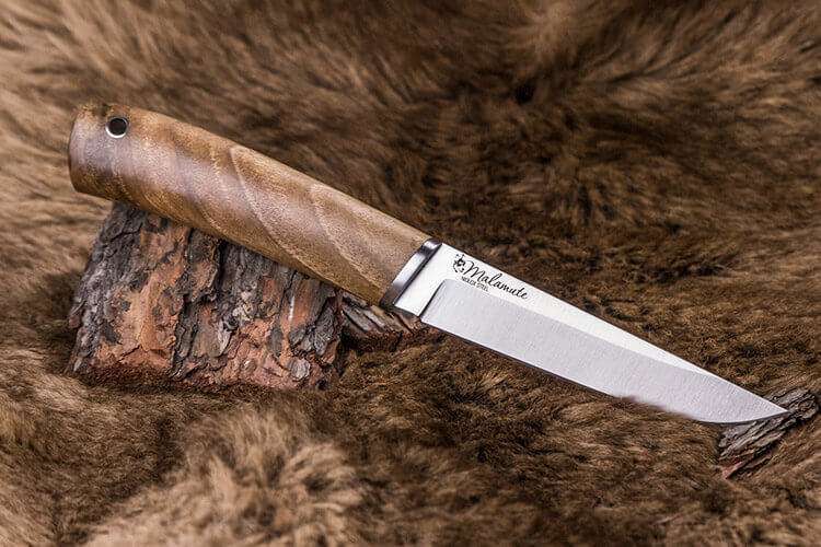 Kizlyar Supreme MALAMUTE knife model