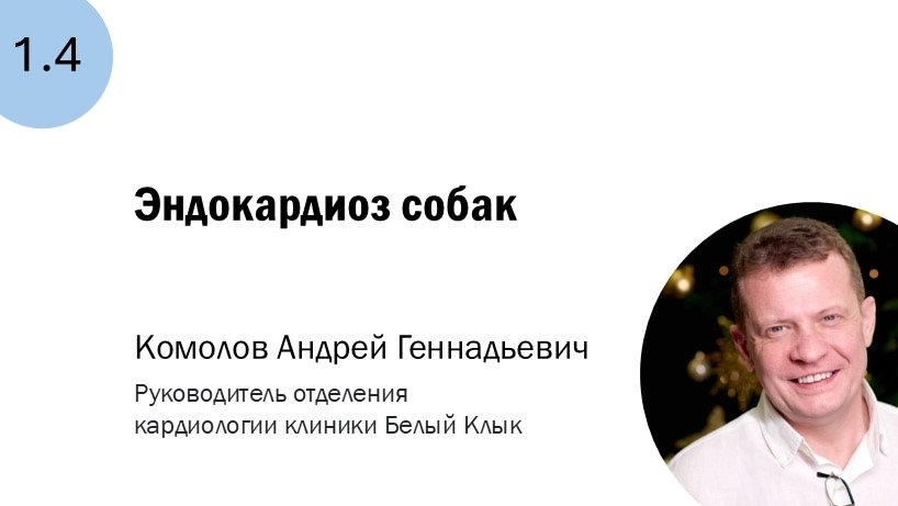 1.4 Эндокардиоз собак