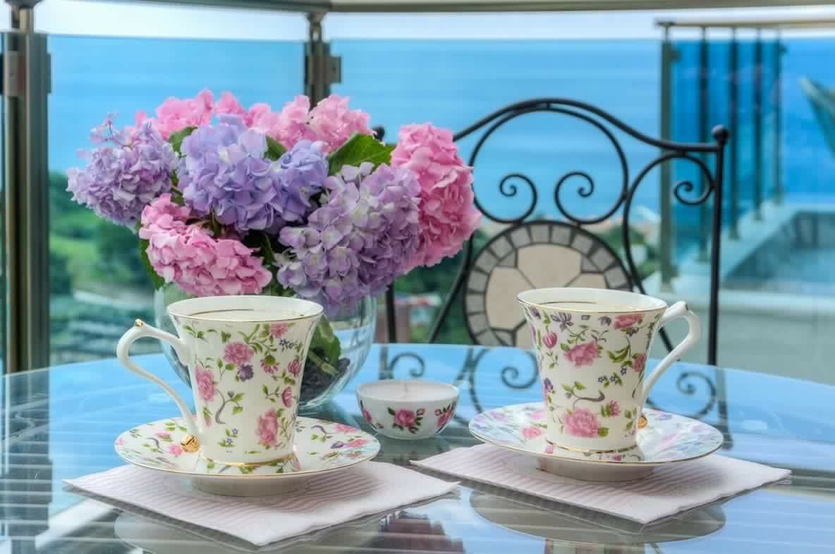 екины рисунки. иллюстрация все к лучшему. утренние ранние подъемы. чем пахнет утро. художница-иллюстратор cinzia bolognesi.