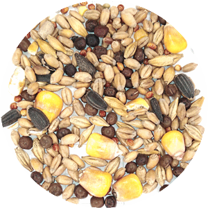 Зерносмесь кормовая пшеница, ячмень, просо, вика, кукуруза, семечка