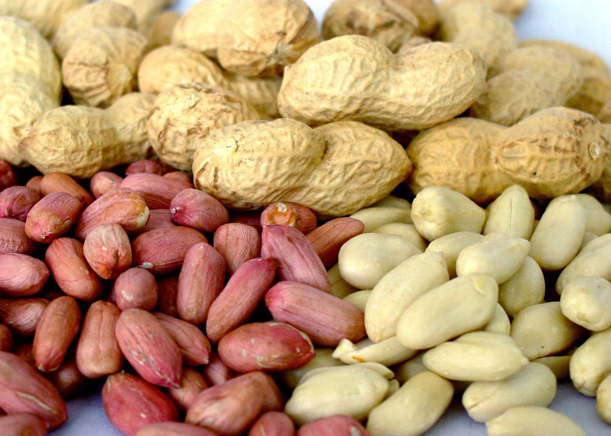 Виды арахиса. Земляной арахис. Орехи арахис. Арахис культурный(Земляной орех) Престиж ц. Земляные орехи Киргизия.