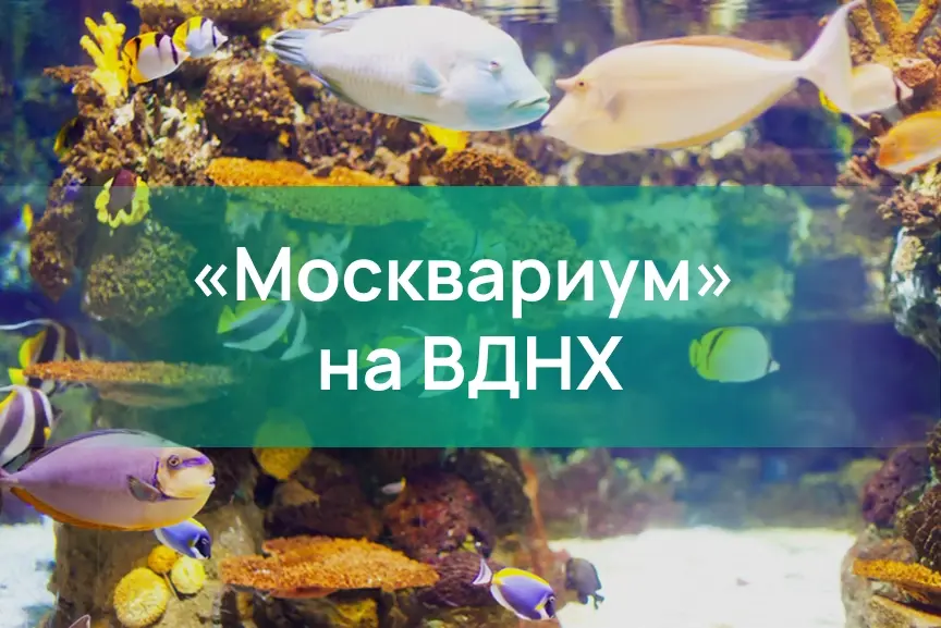 Москвариум на ВДНХ